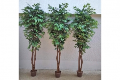 054 veštačka stabla bendžamina